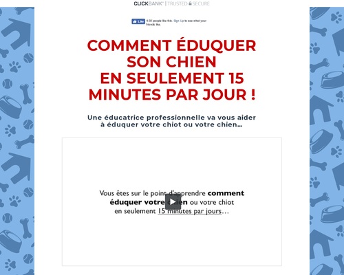 Dresser Son Chien En 15 Minutes Par Jour